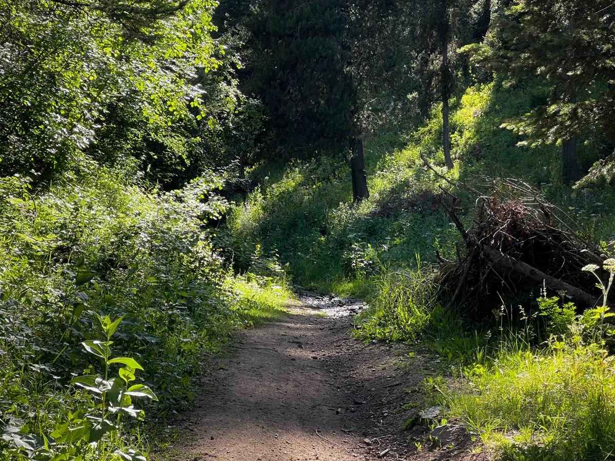 South Grove Creek photo 2