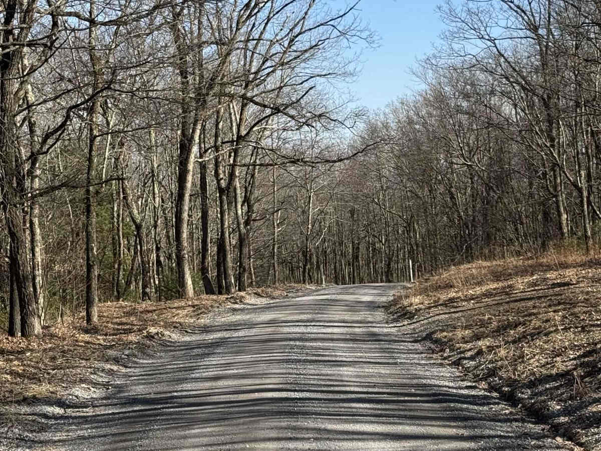 Grugan Hollow Road photo 3