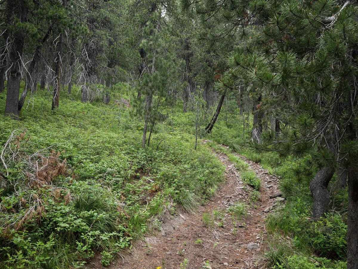 Flume Ridge ATV trail photo