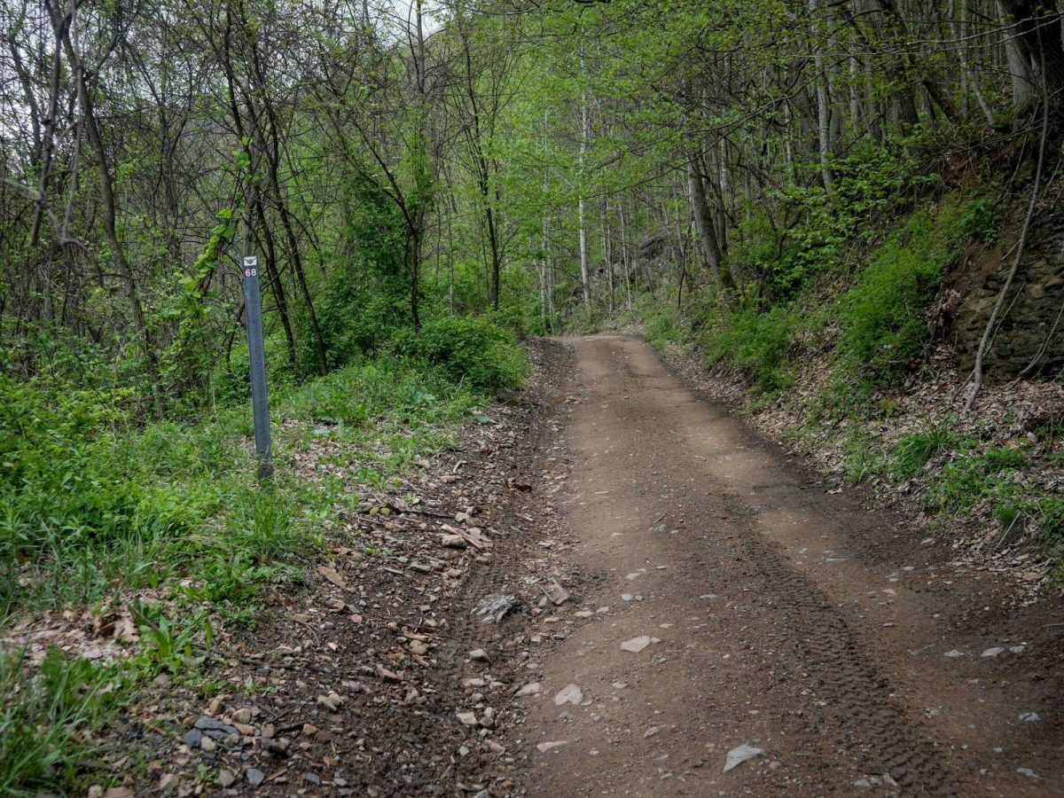 IR 68 trail photo