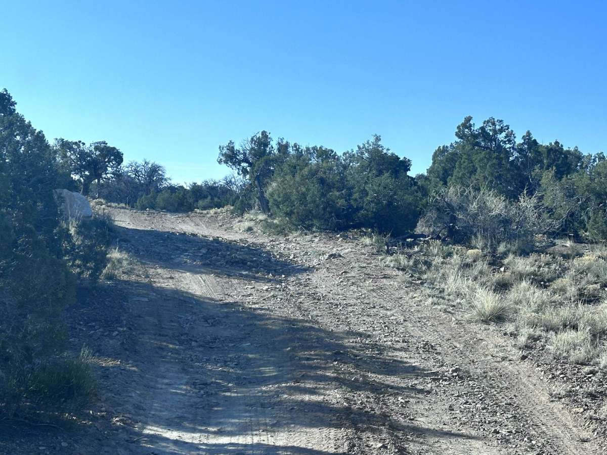 Verde South Trail photo 2
