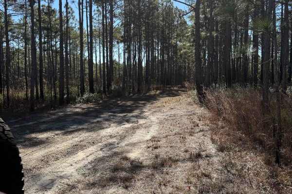 Pettiford Creek Trail 2