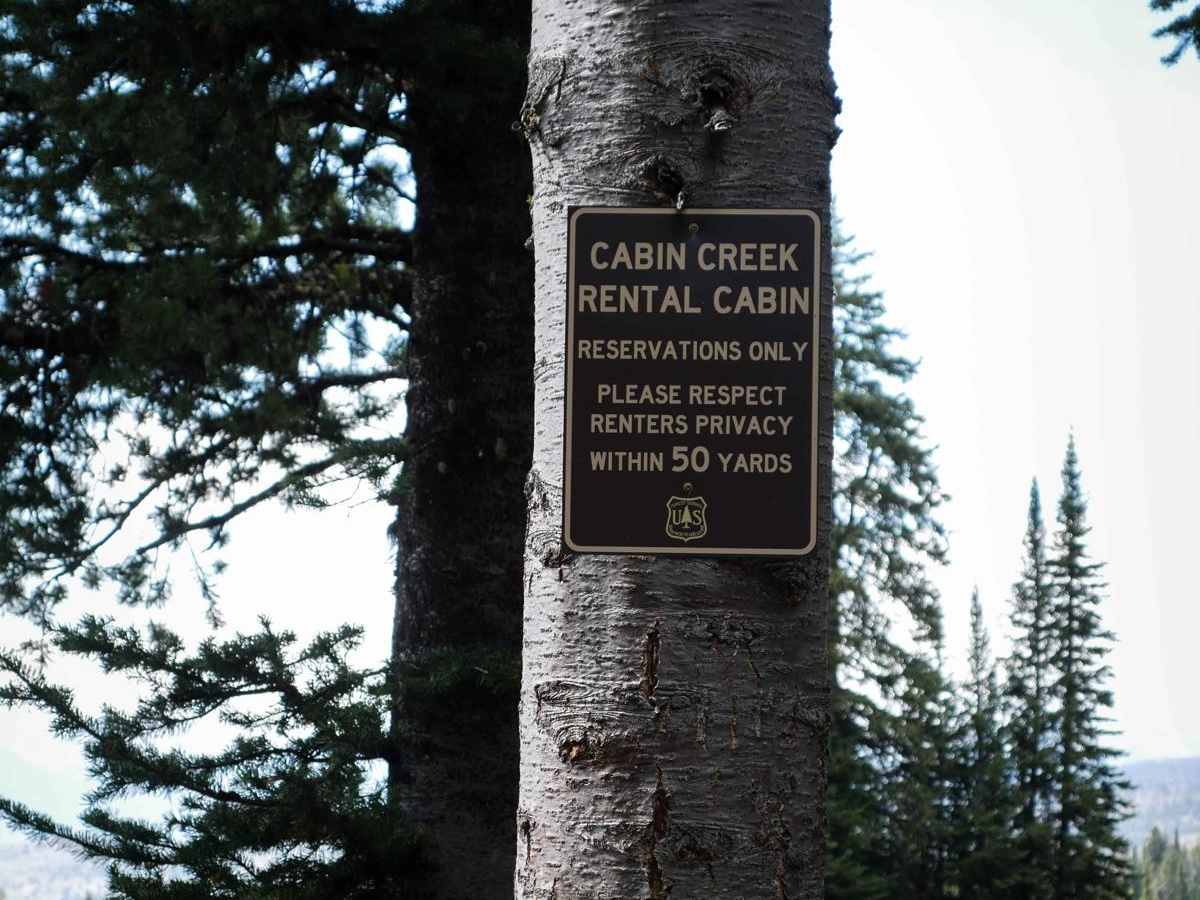 Cabin Creek Cabin photo 4