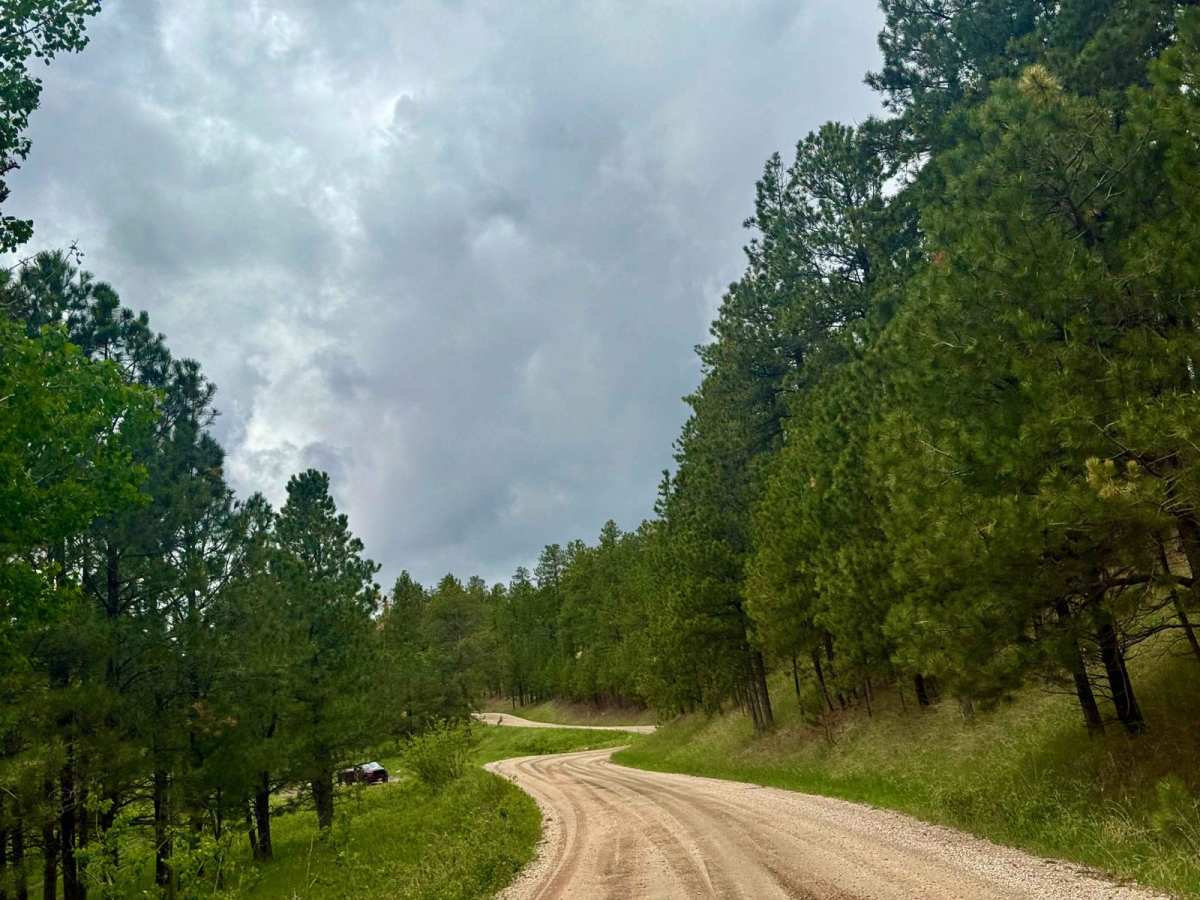 Beretta Road - FS 366.3 photo 4