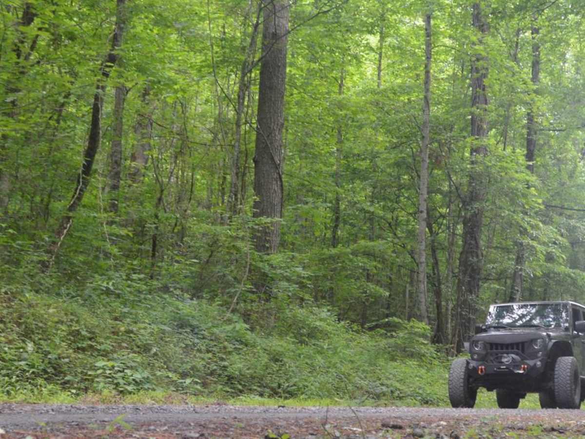 Conasauga Creek trail photo