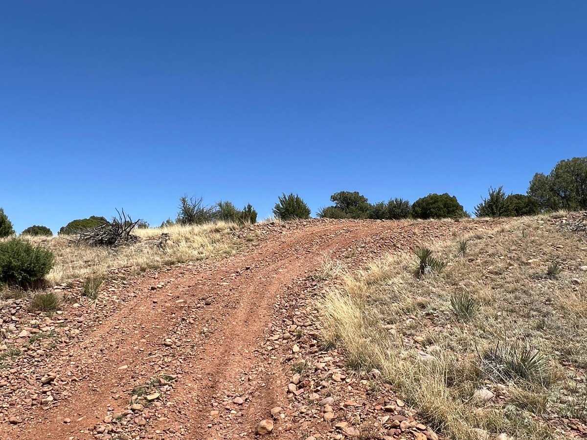 Red Dirt Road trail photo