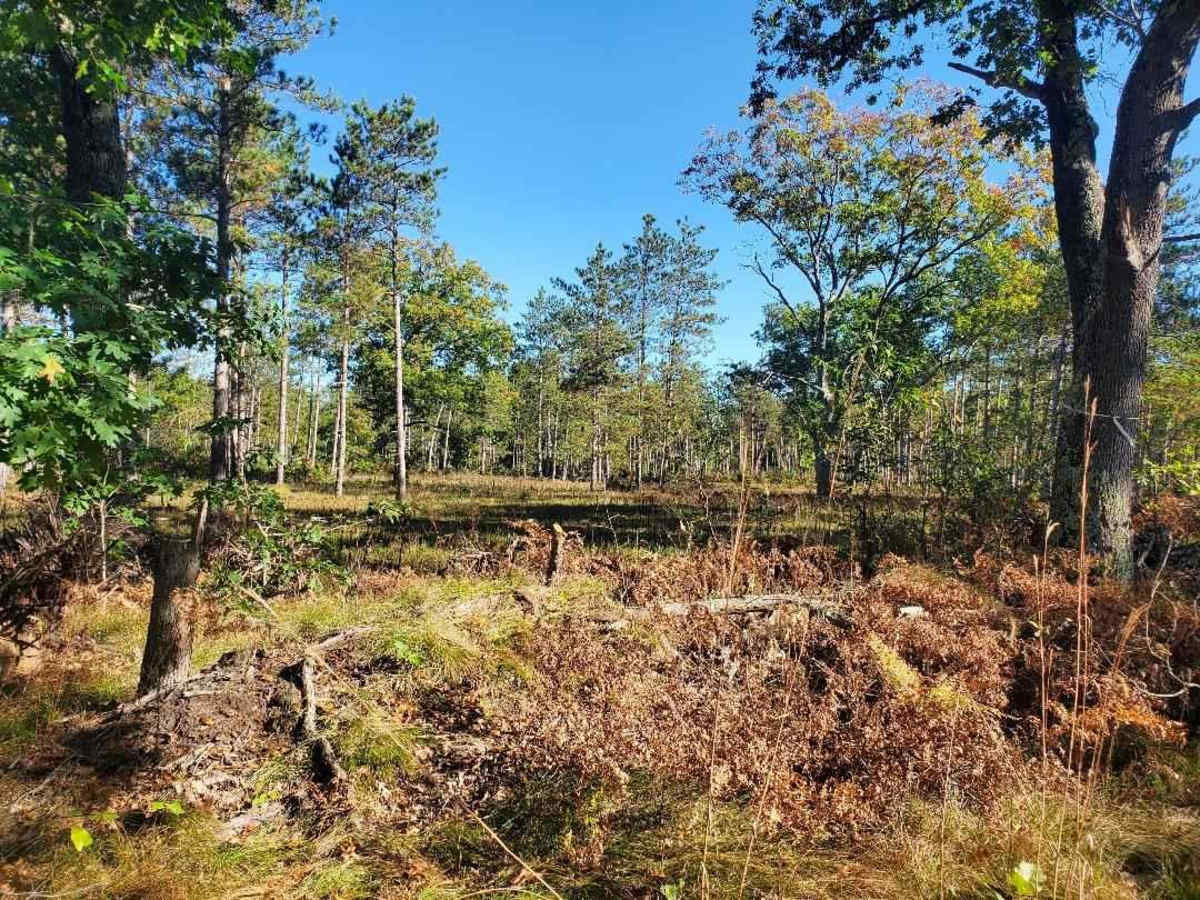 White River Special Area photo 6