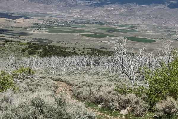 Cottonwood Road - Bullion Canyon Interconnect