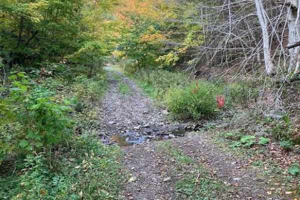 MacDonald's Glen Road