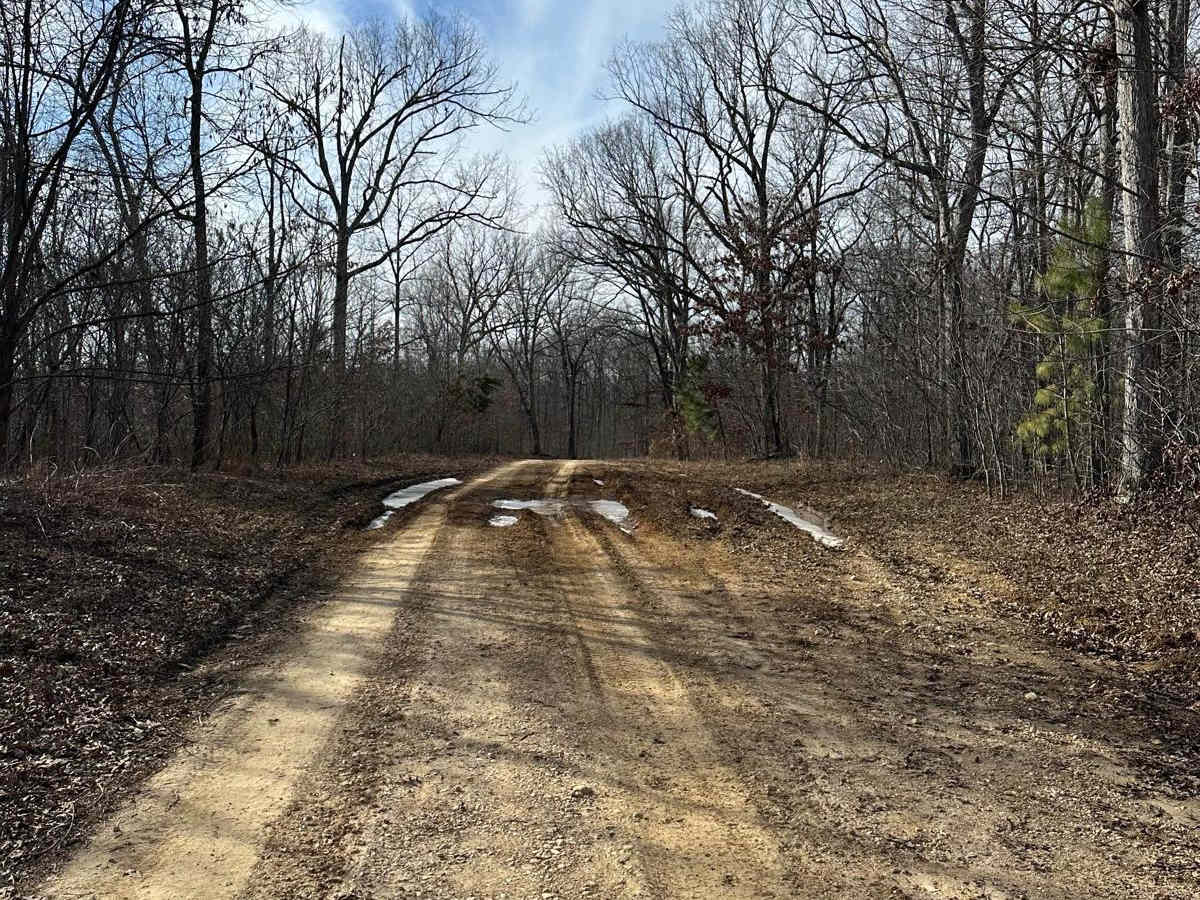 FSR 119 photo 4