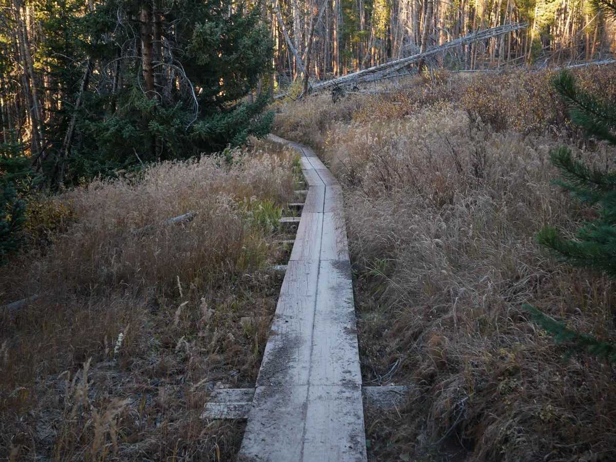 Outer Wide Open trail photo