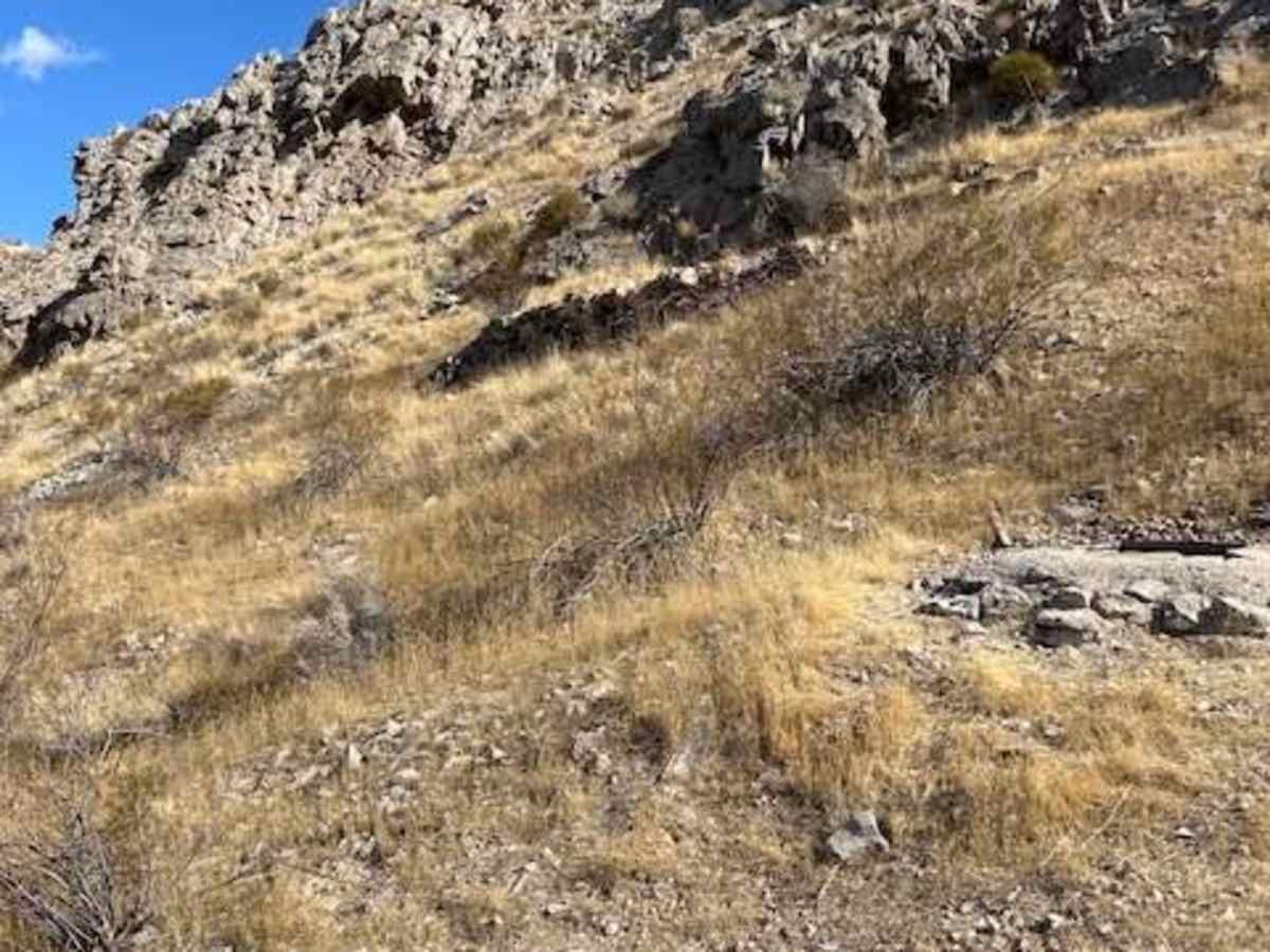 Tramp Mine Trail photo 6
