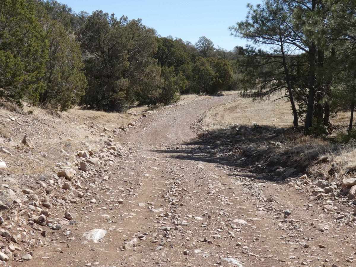 Dog Canyon photo 6