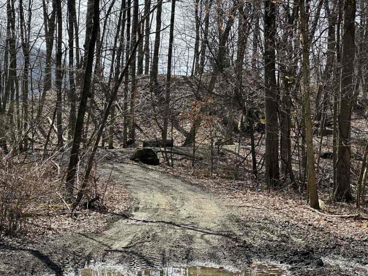 Ashland 7 trail photo