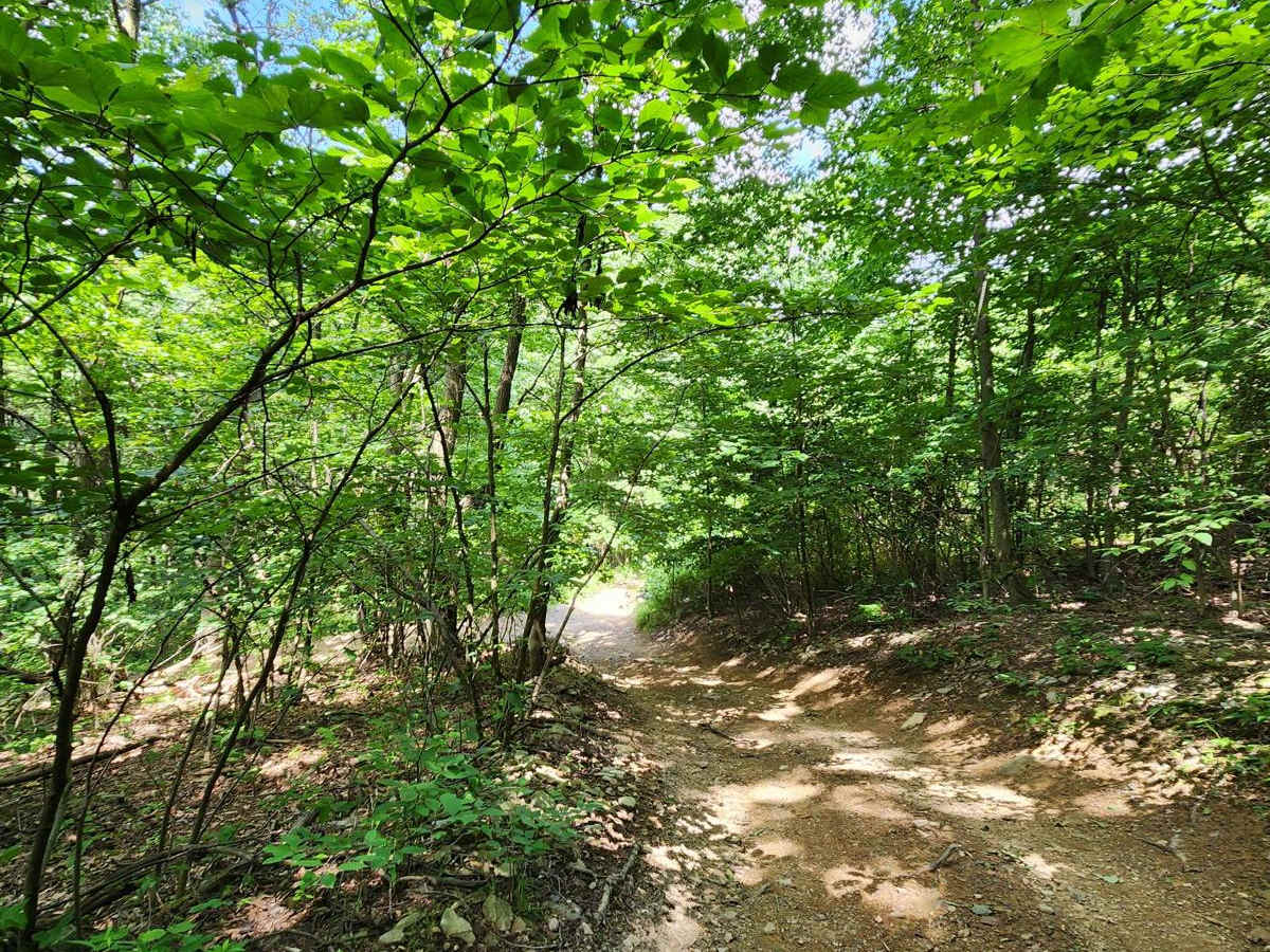 Trail 2D - Rock Run Recreation Area photo 2