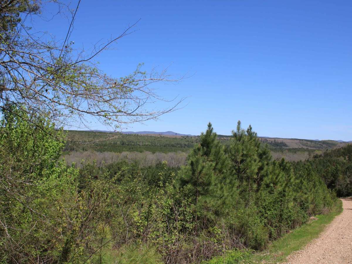 Howard County WMA To Highway 278 photo 3