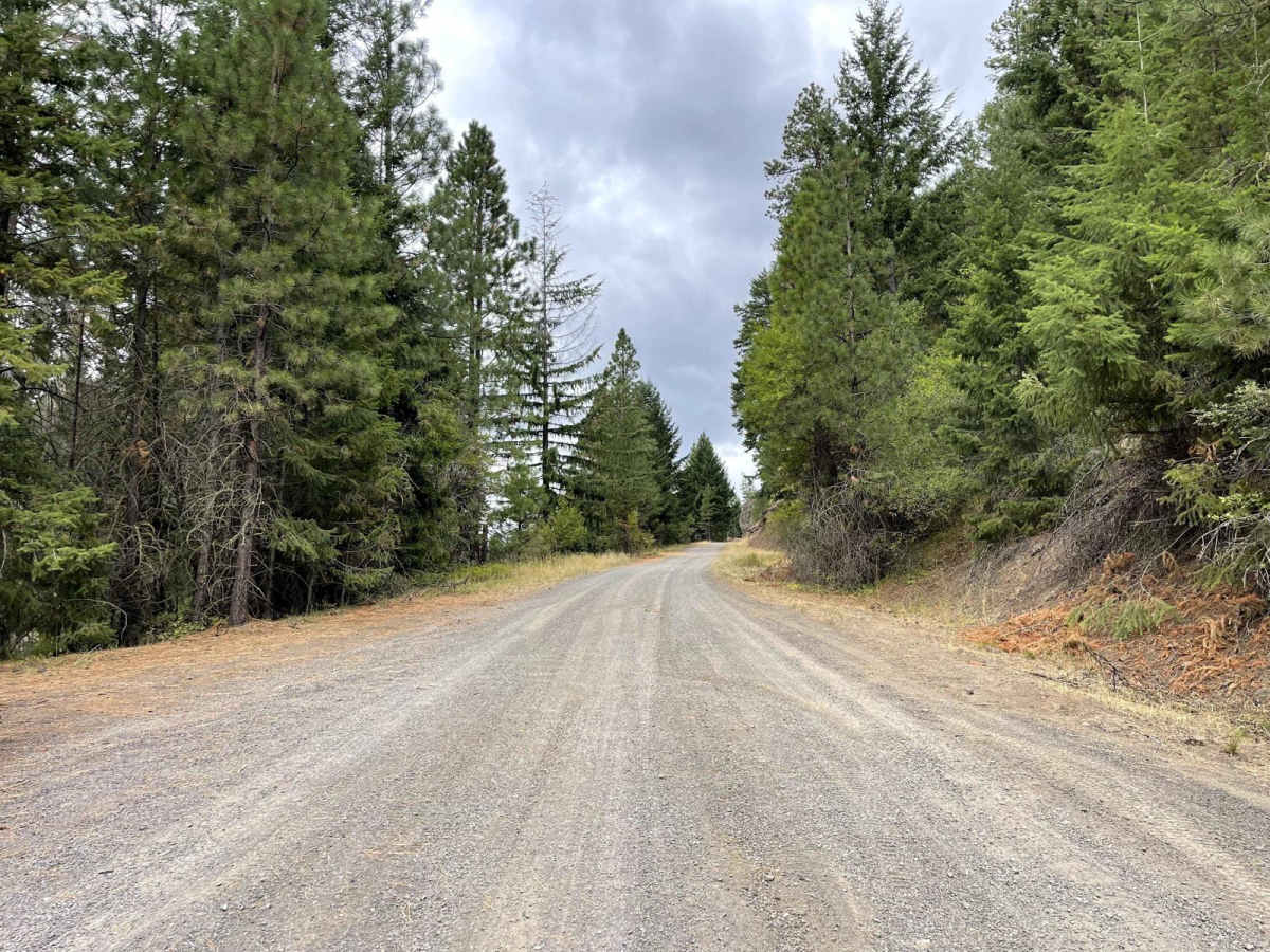 Gold Creek Trail photo 4