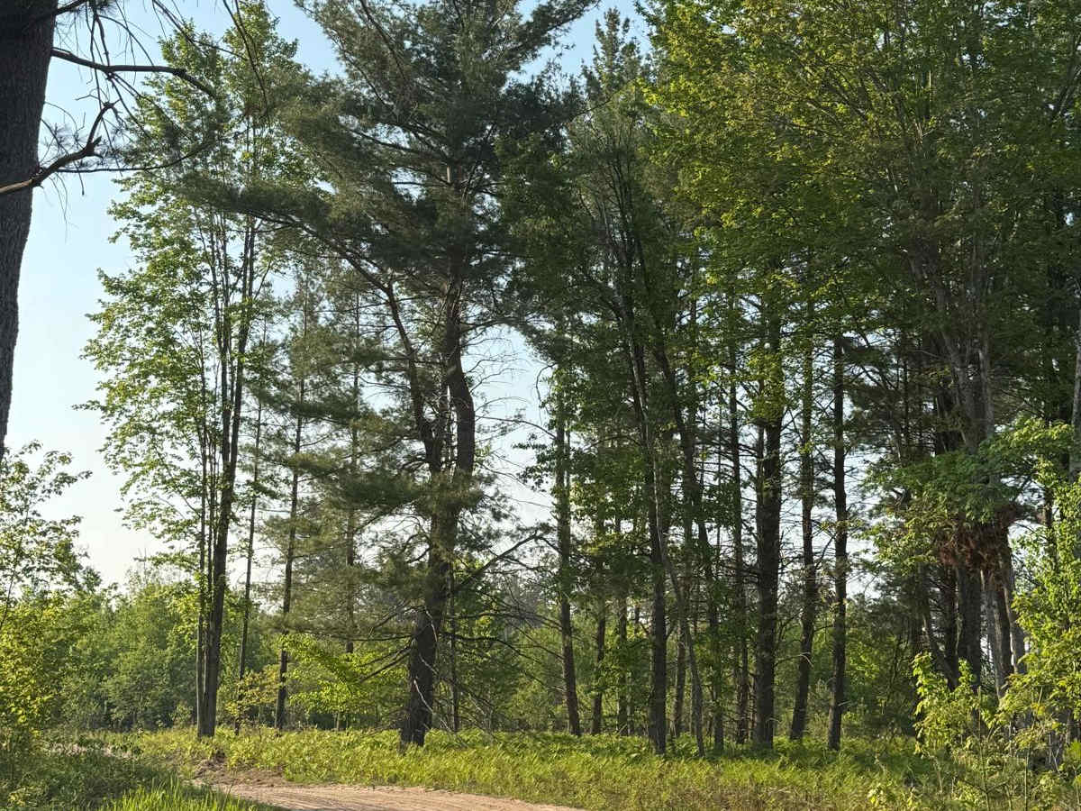 Buttermilk Creek Trail trail photo