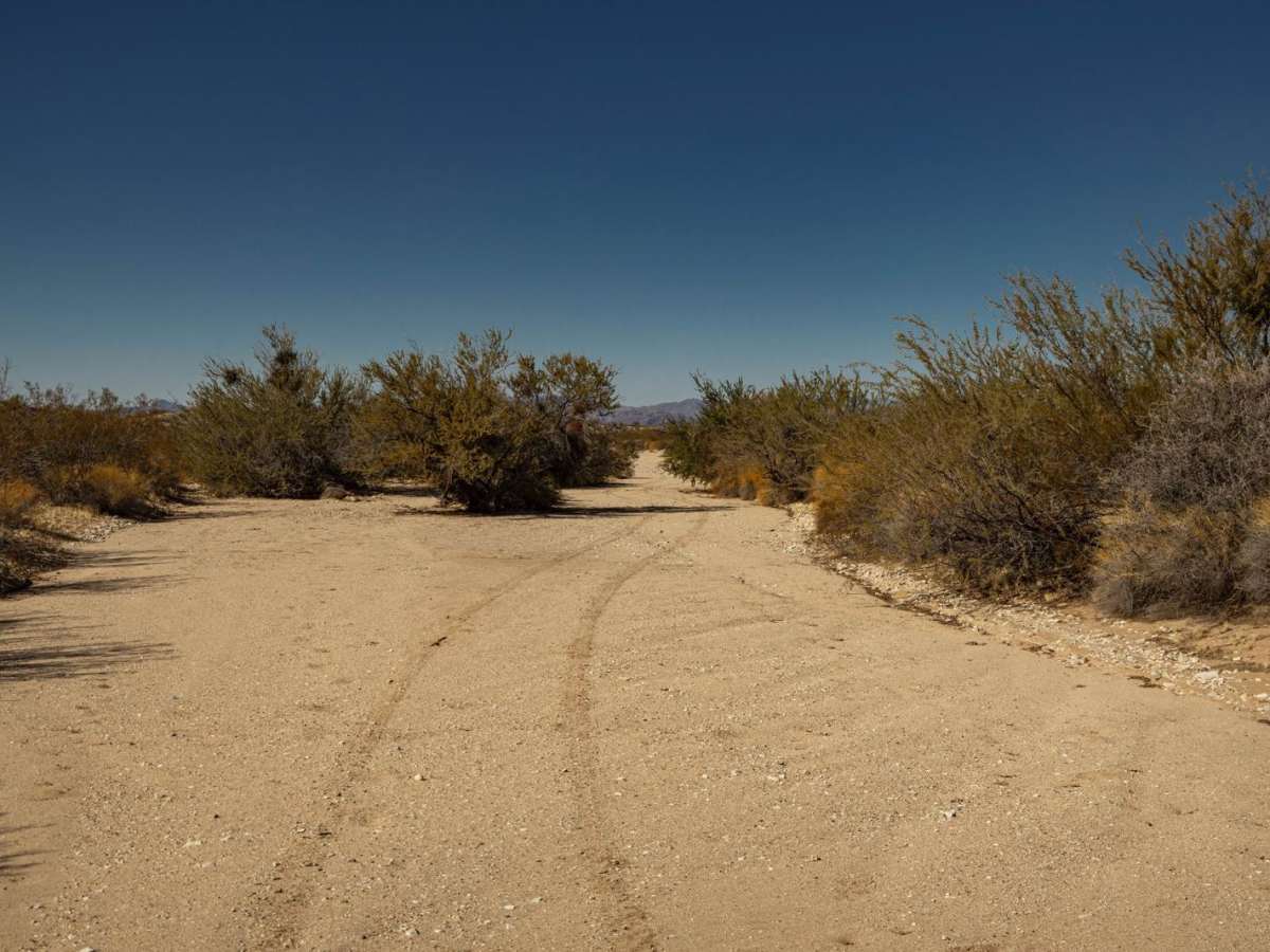 Bullard Wash South photo 6