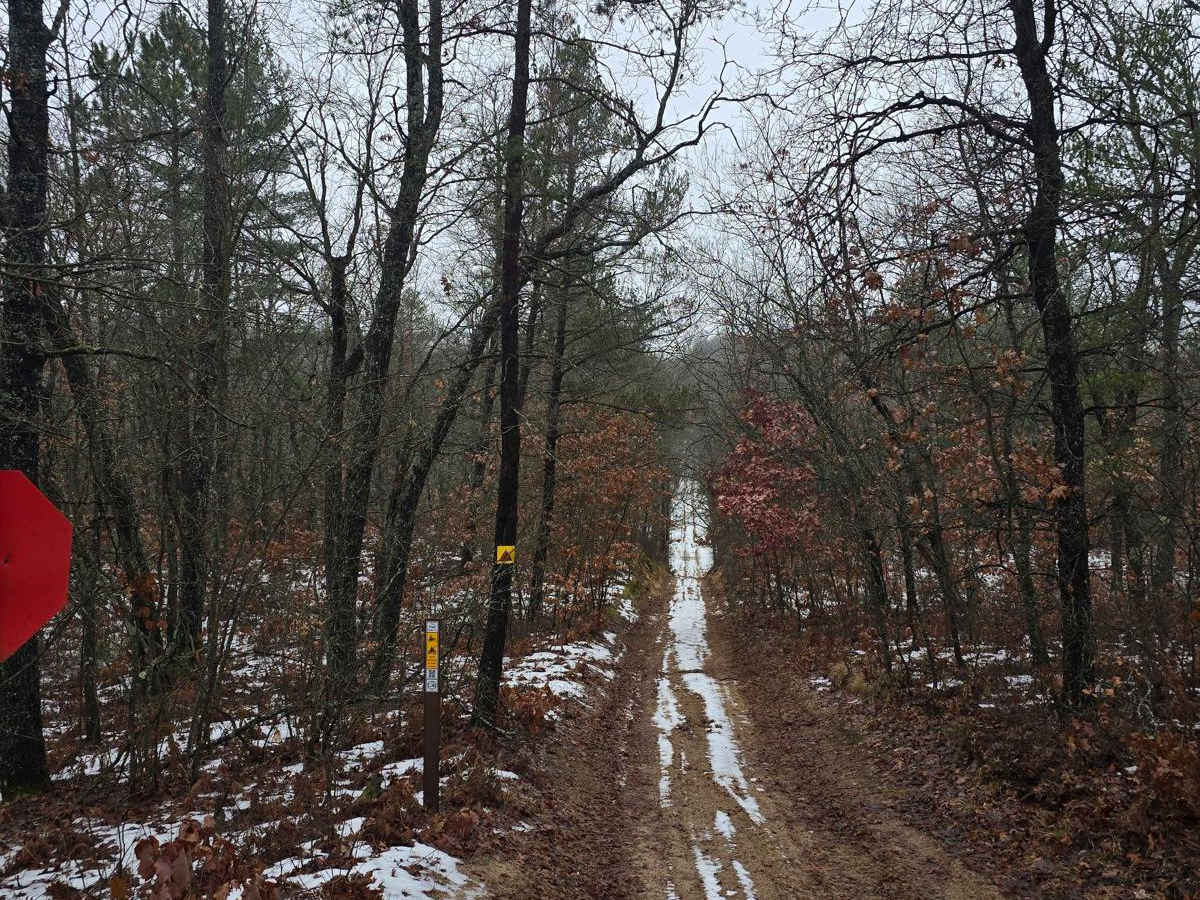 East Oyster Road trail photo
