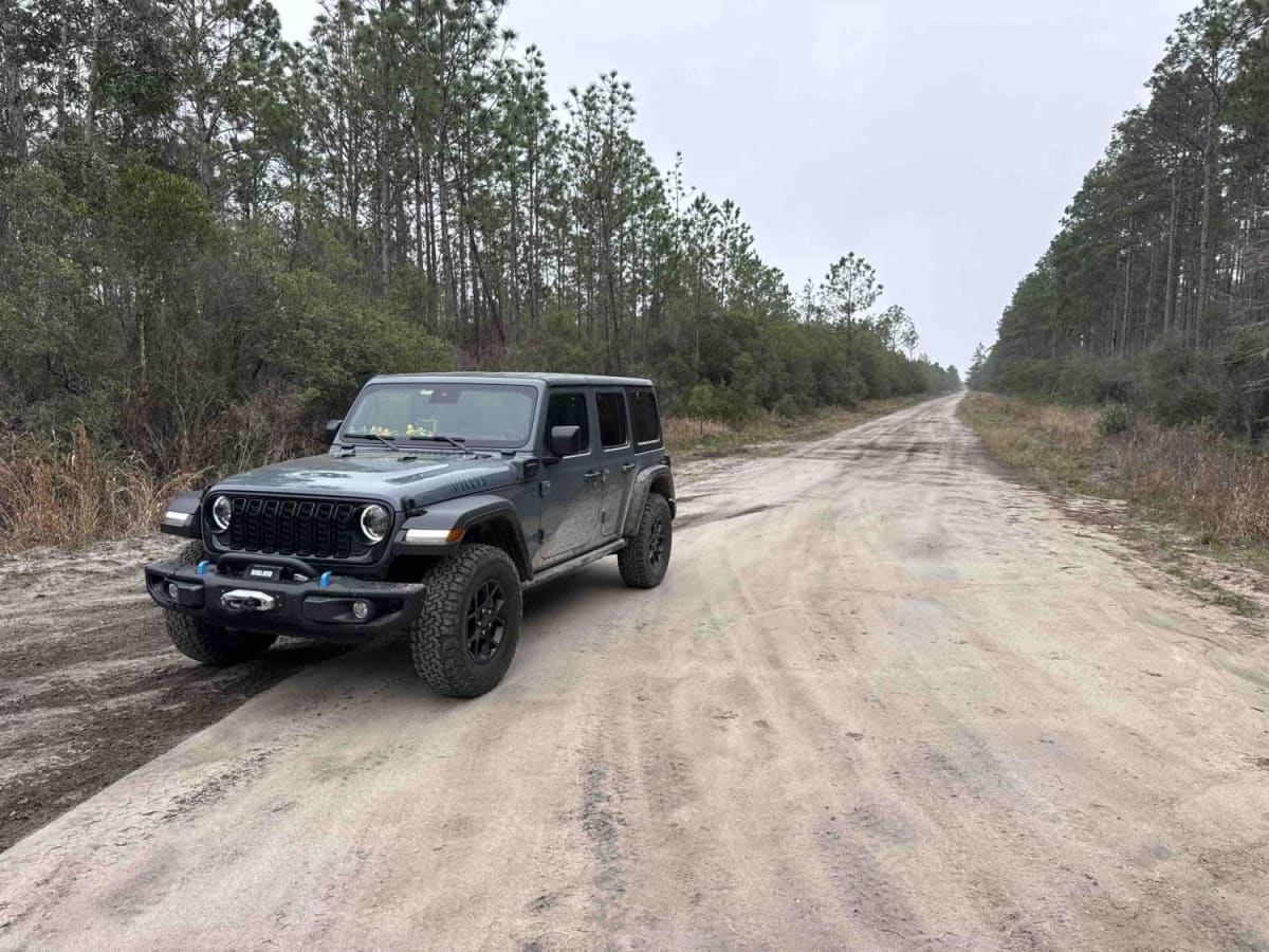 Pine Log Road photo 6