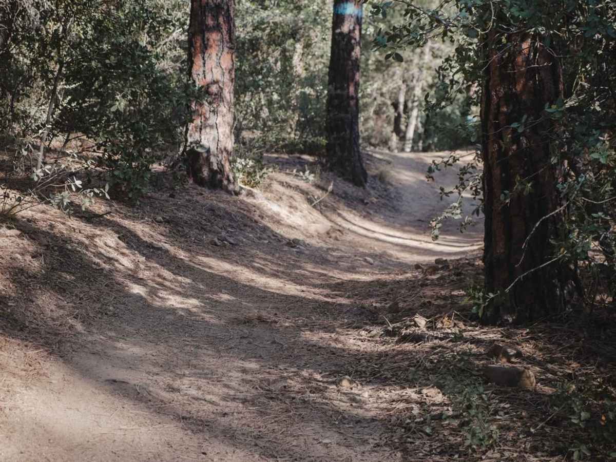 Trail 9 photo 6