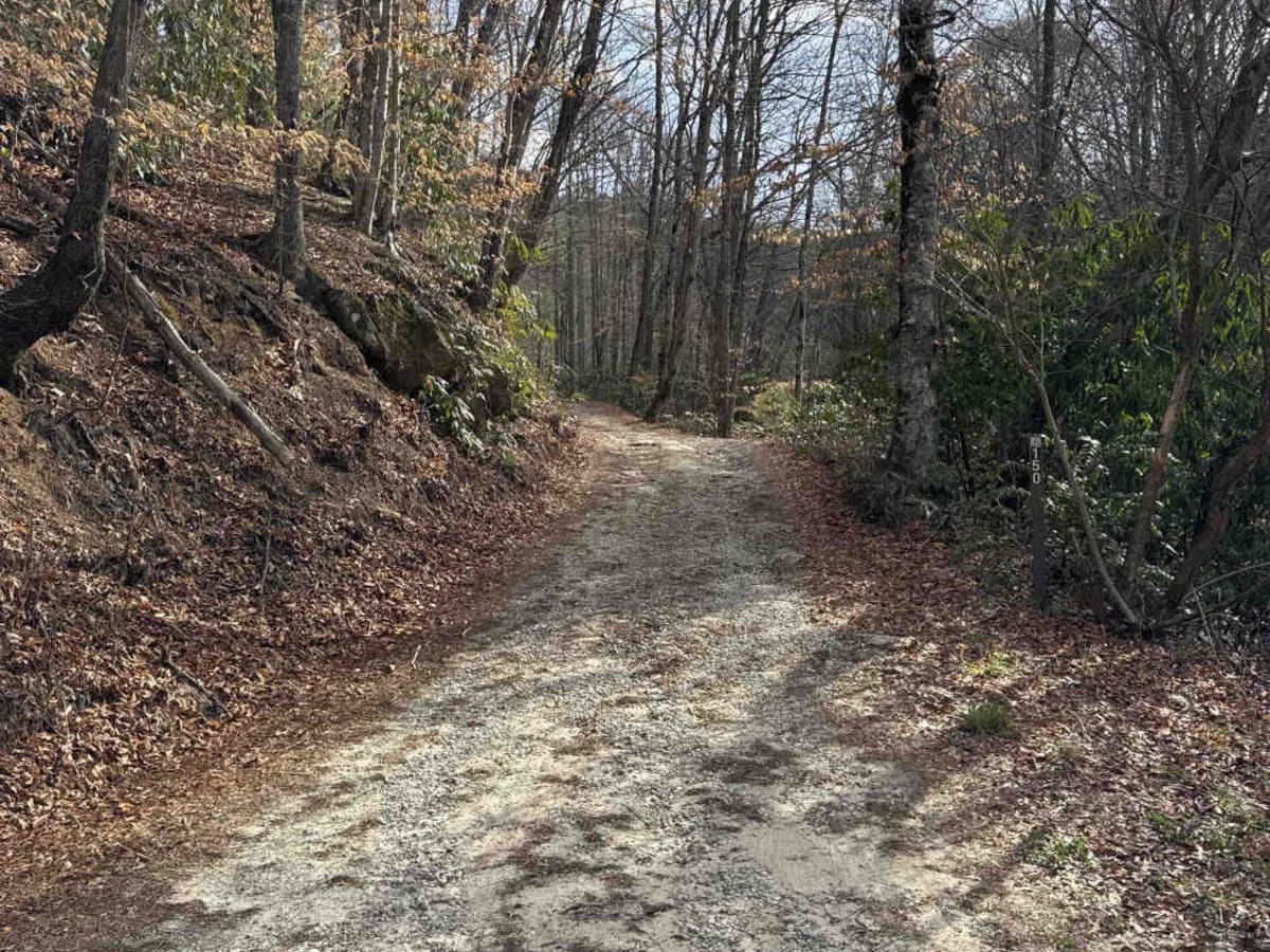 Darnell Creek - FR 150 photo 6