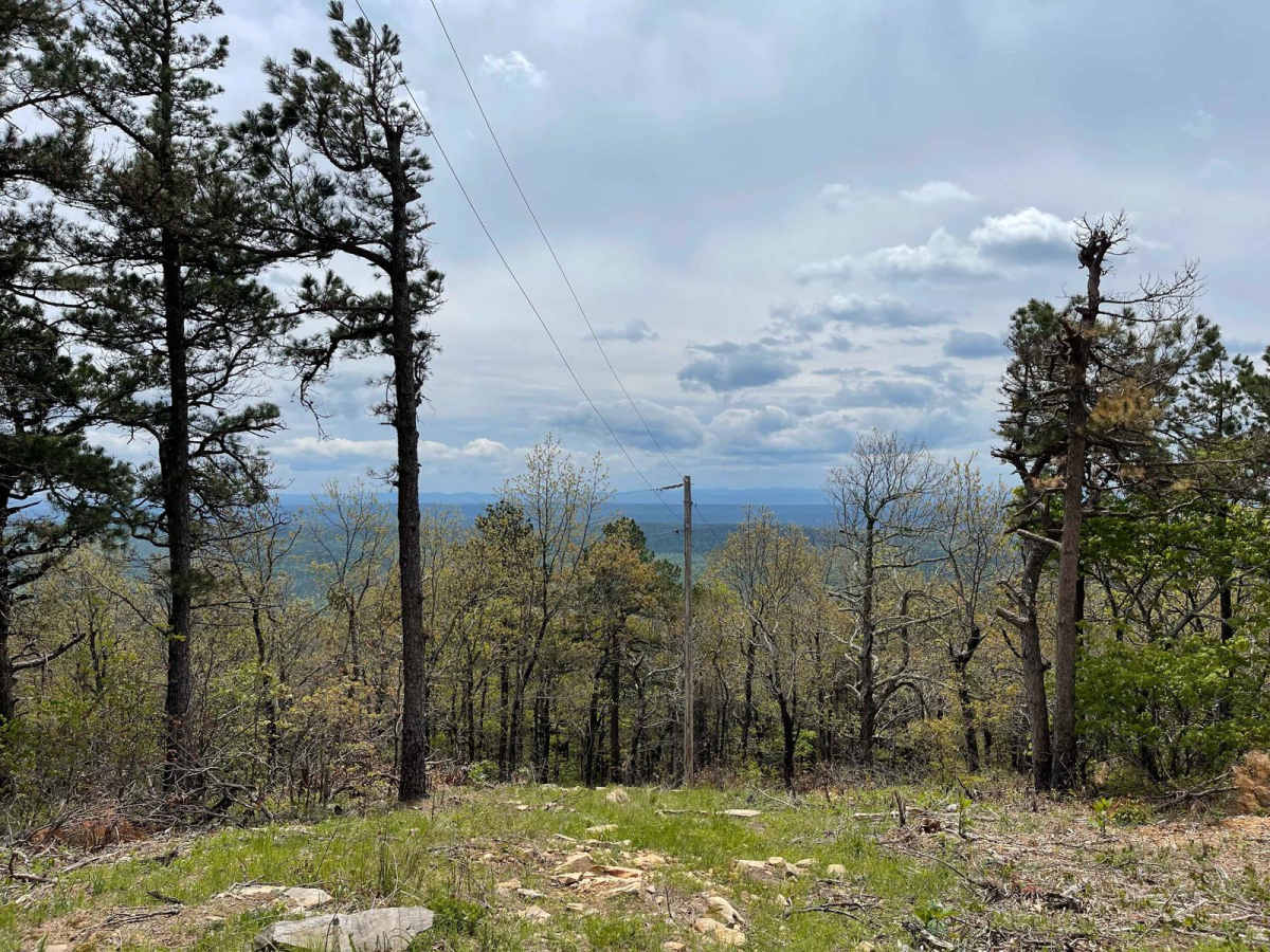 Radio Tower Road (178A) photo 5