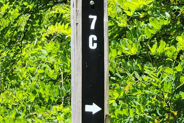 Trail 7C - Rock Run Recreation Area