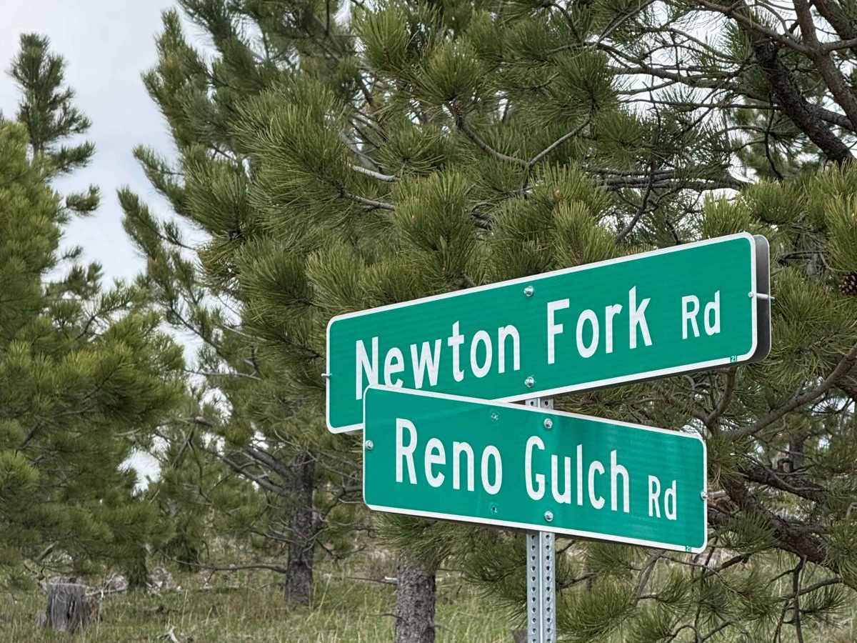 Reno Gulch - FS 303 photo 6