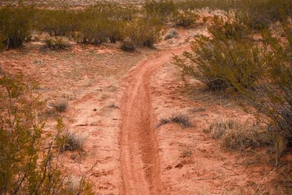 Access Single Track