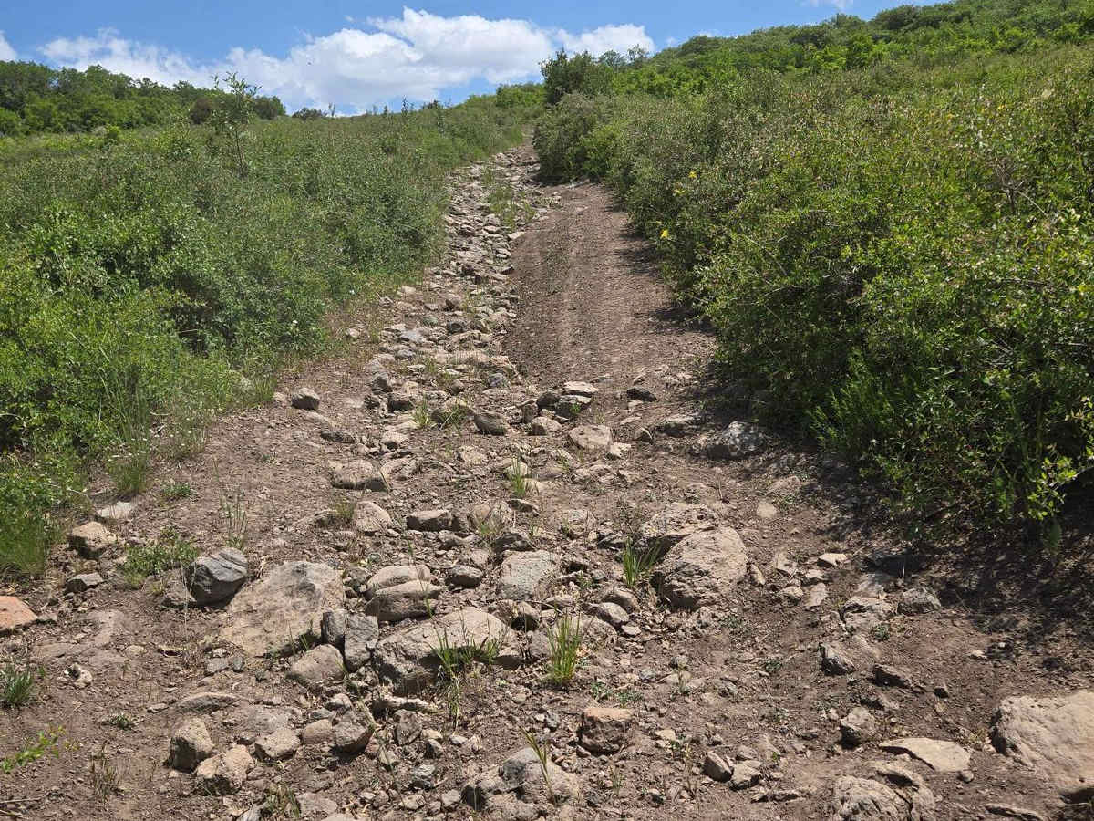 Butler Springs Trail - FS40359 photo 6