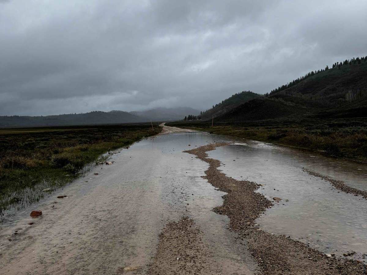 Strawberry River Road photo 3