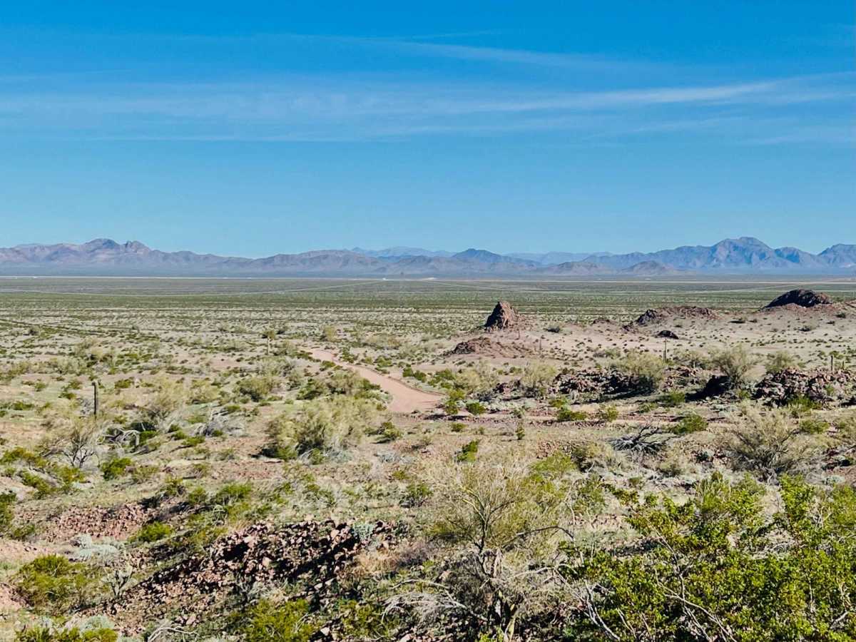 Upper Palomas Harquahala trail photo