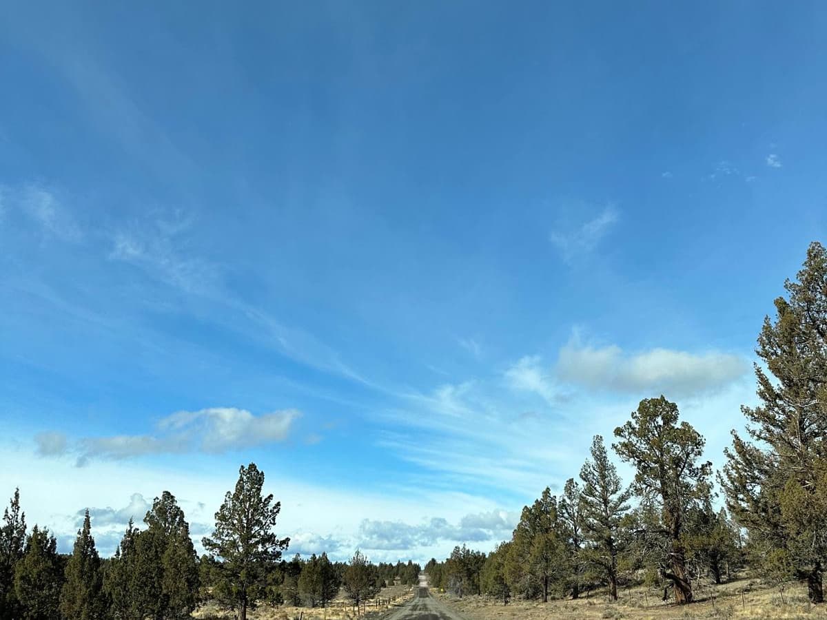 Barr Road Cut Through photo 2