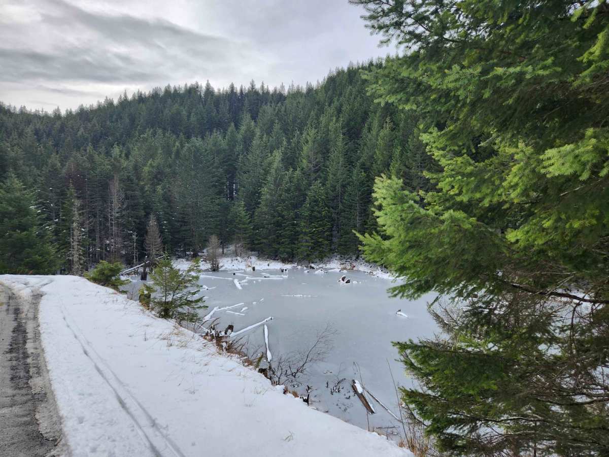 BonJon Pass trail photo