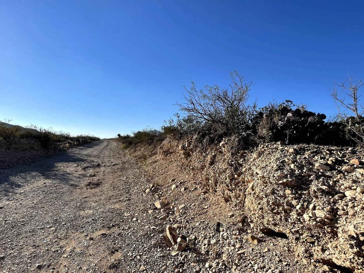 Grapevine Hills Road photo 6