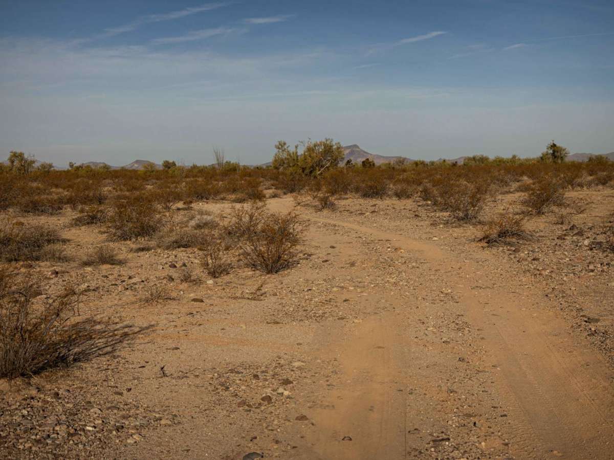 40065 Trail photo 6