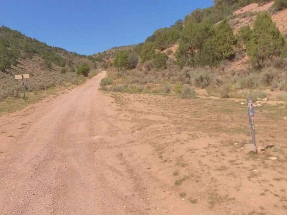 Watts Mountain Road- FS 40111 trail photo