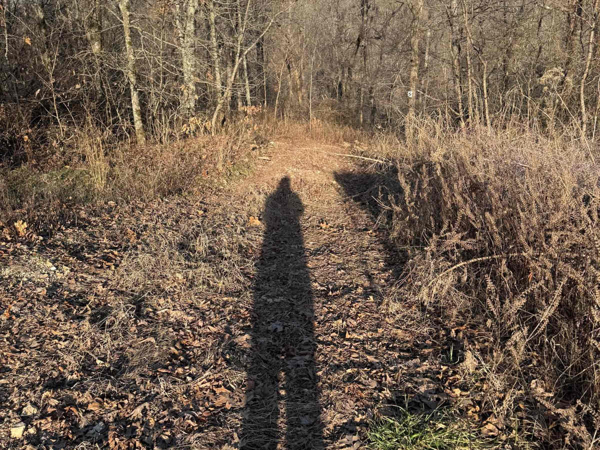Green 407 trail photo