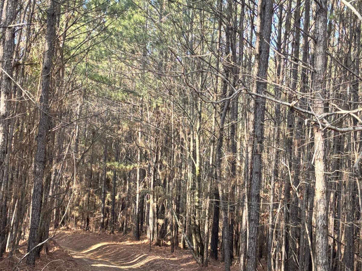 420 trail photo