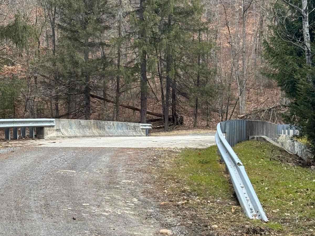 Panther Road photo 5