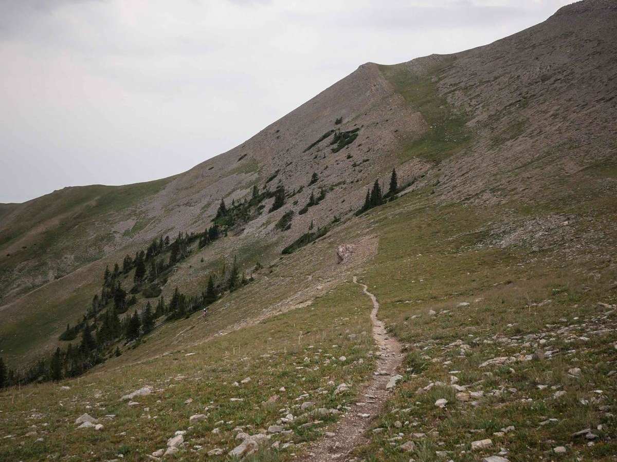 Corbly Gulch trail photo