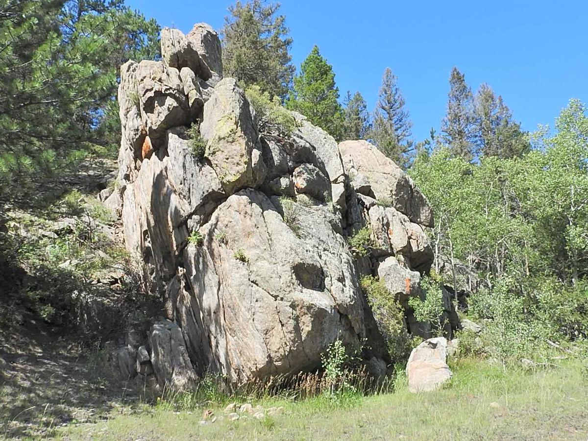 Eleven Mile Canyon Cutoff photo 5