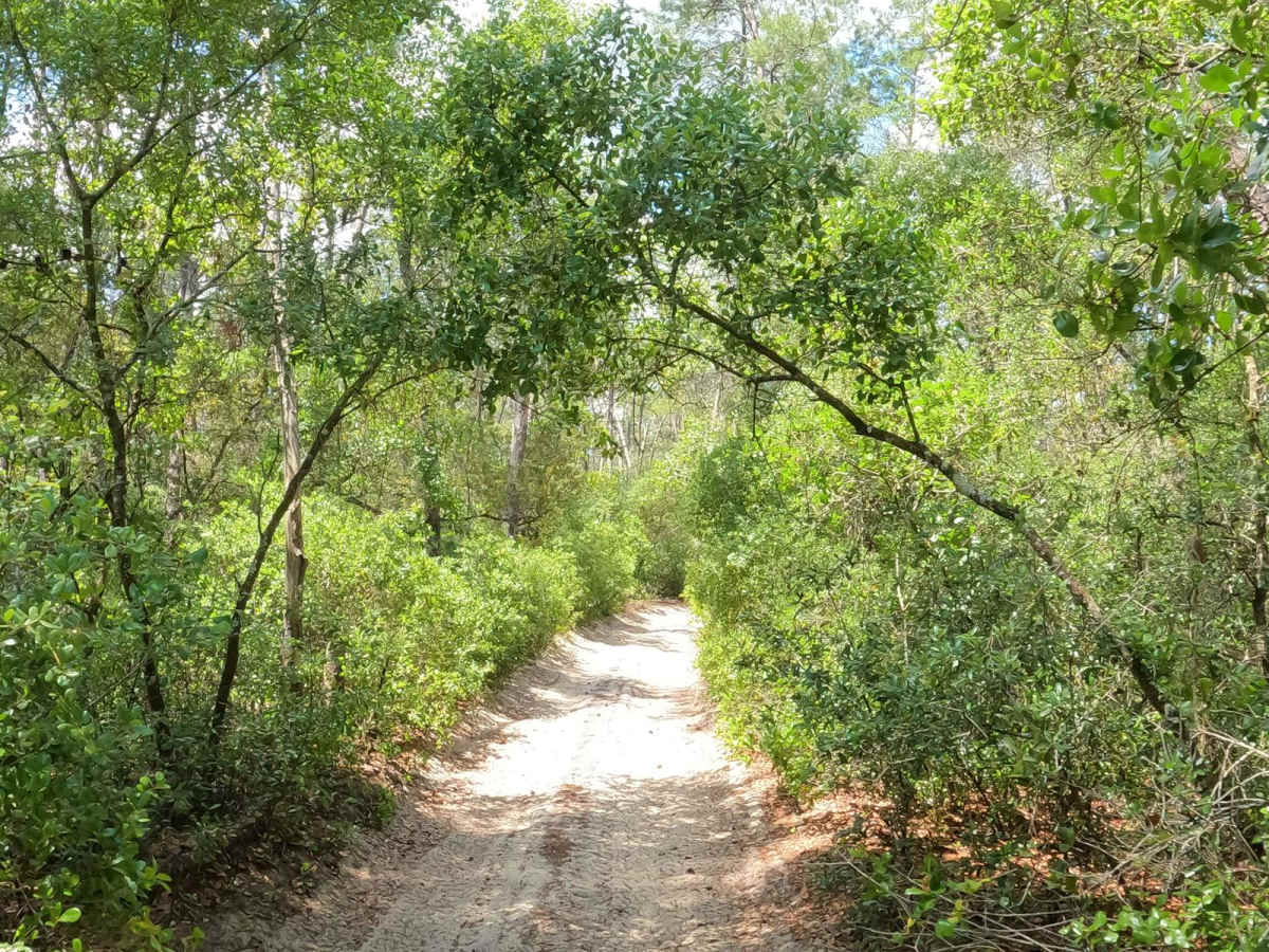 Hog Valley Trail photo 2
