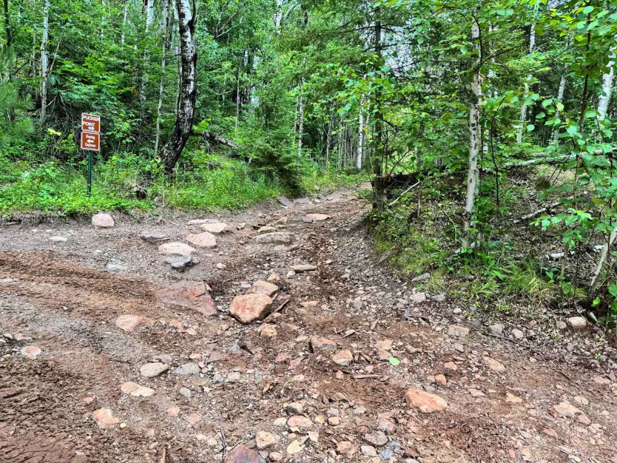 Gravy Train trail photo