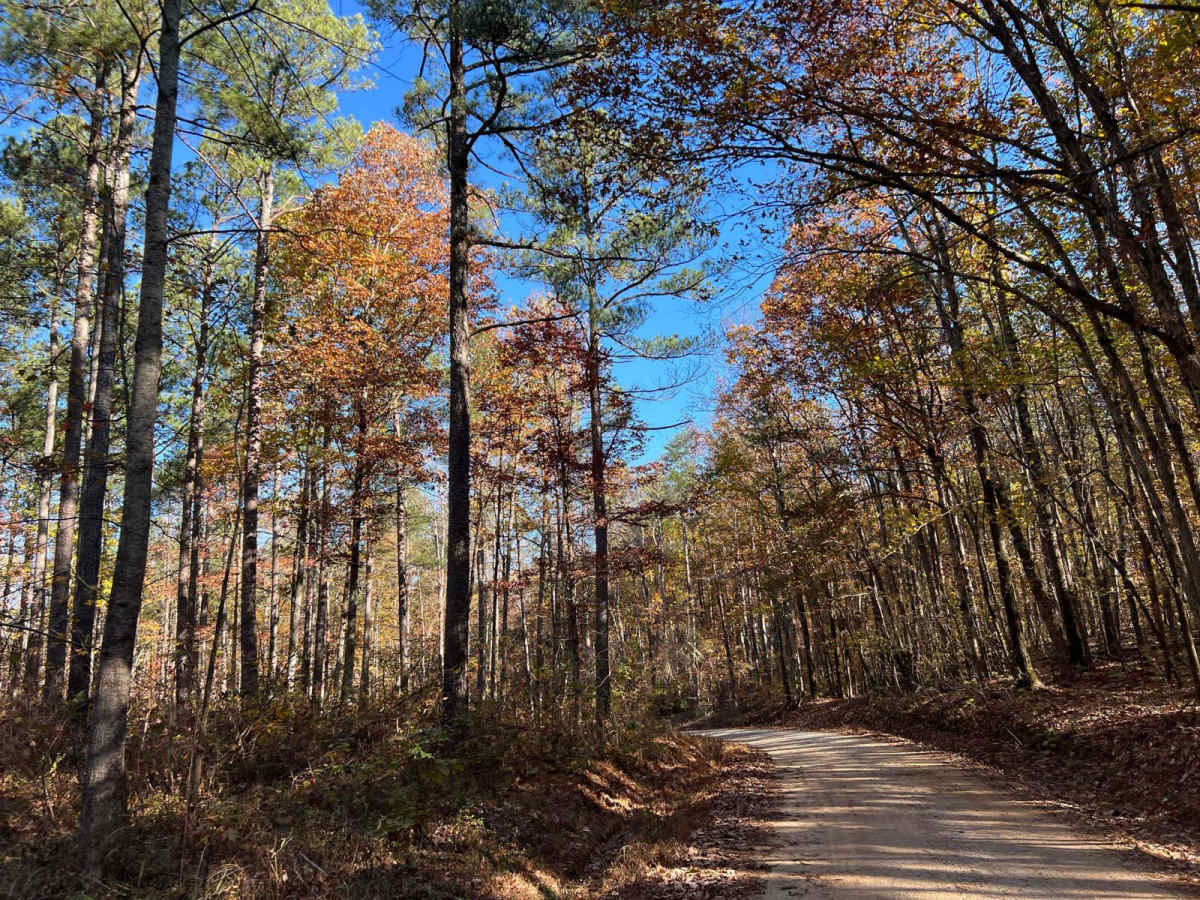 Beulah Road - FS 202 photo 4