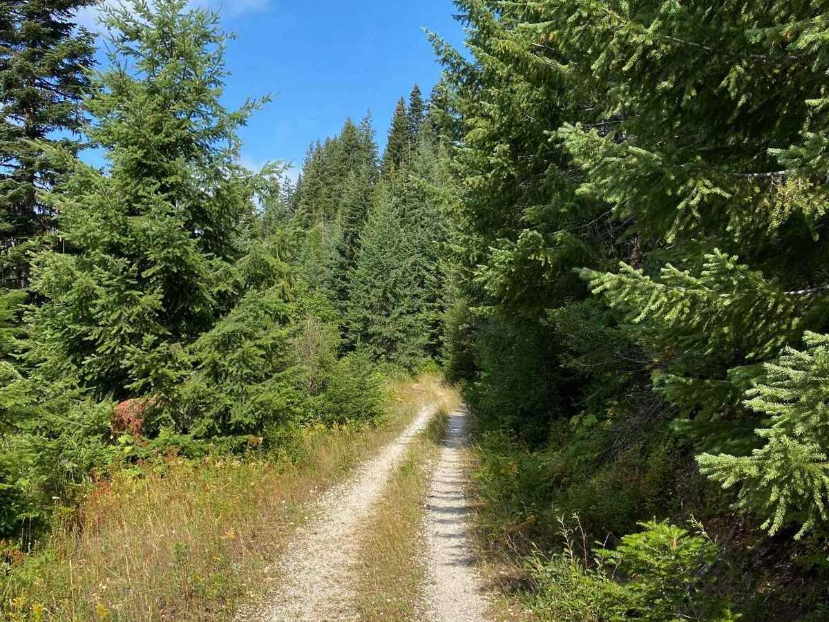 Upper Graves Creek photo 3