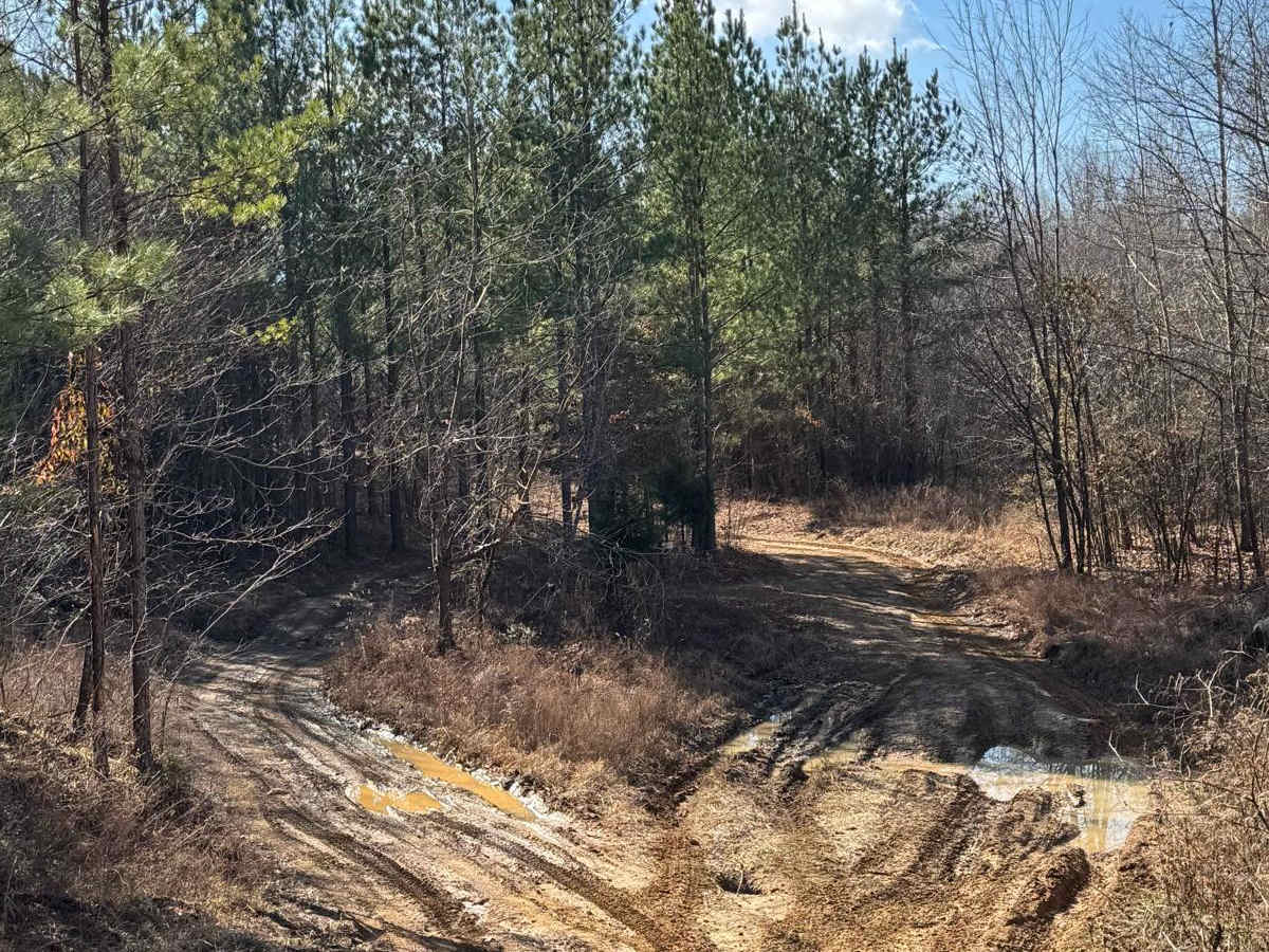 #21 Maynard's Trail photo 2