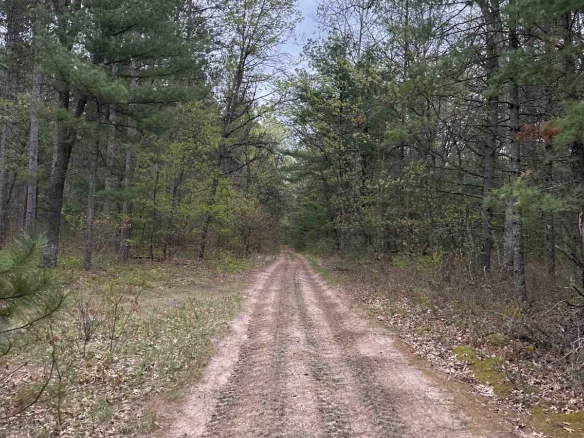 FS 2172 photo 3